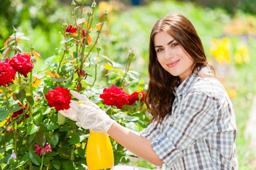 Expert horticulturist working on a garden project